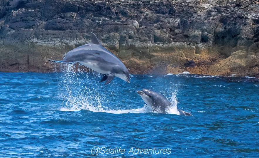 ESS ADD blog August 2022 #5