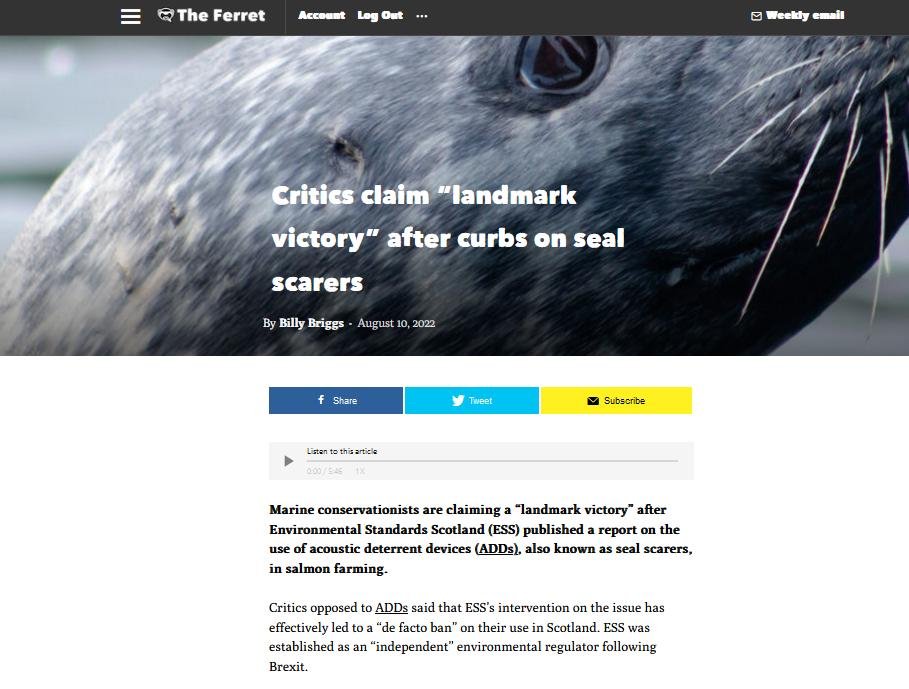 Ferret 10 August 2022 #1