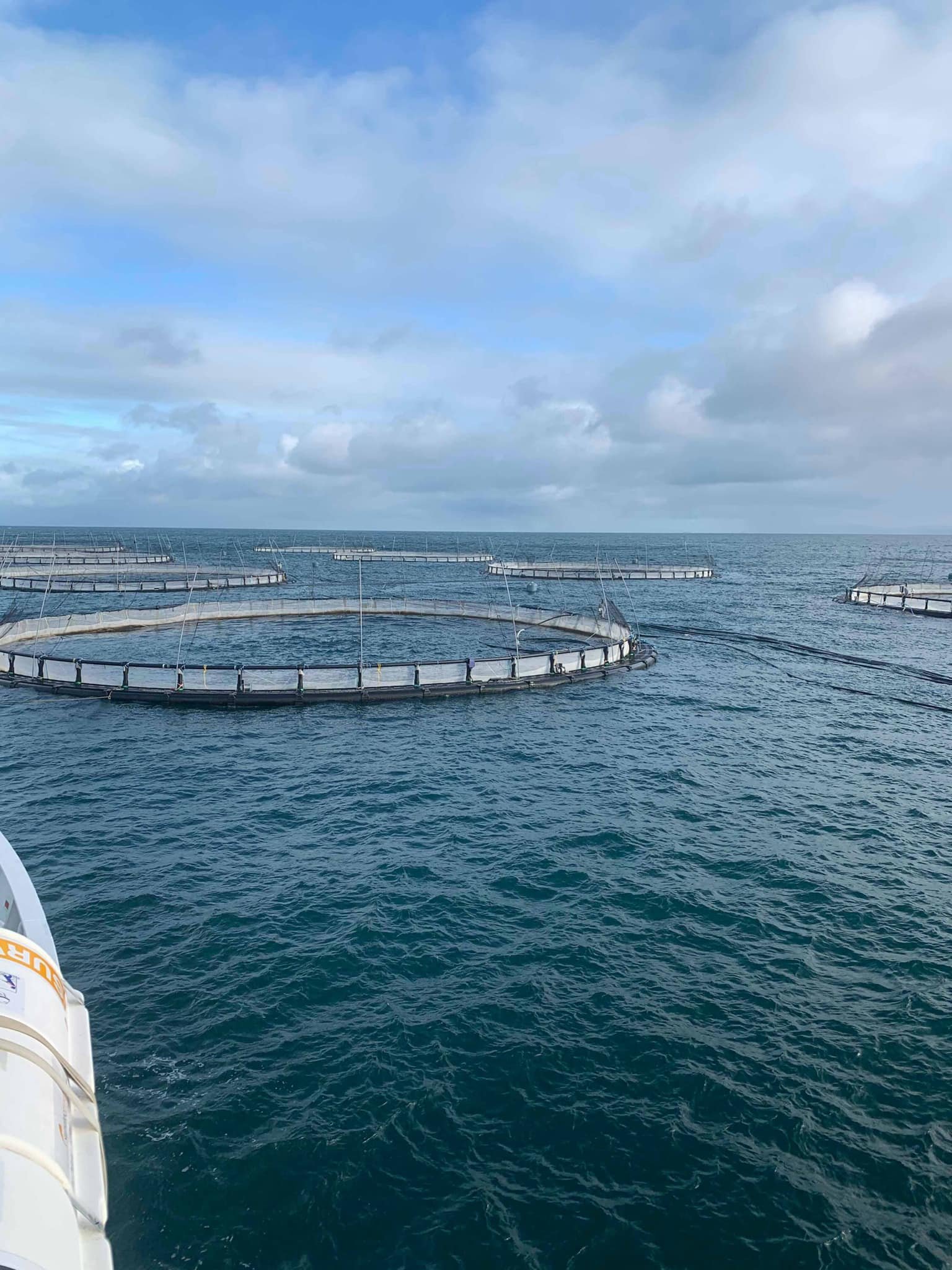 Greanem blog Aug 2022 #2 photo of farm