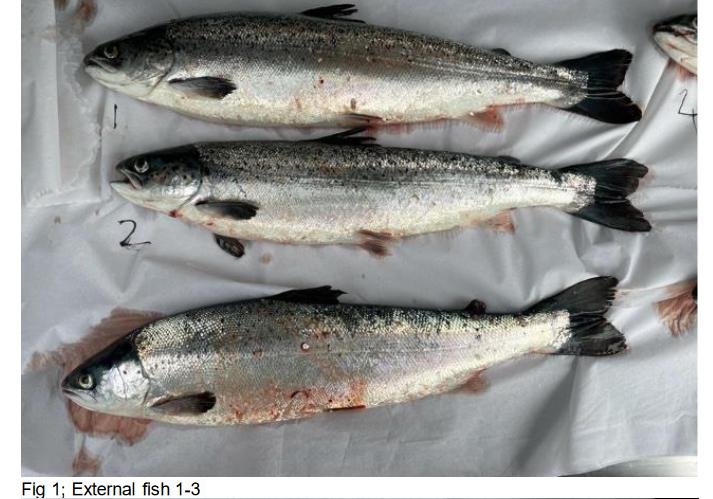 Greanem blog Aug 2022 #43 photos Greanem blog Aug 2022 #43 photos