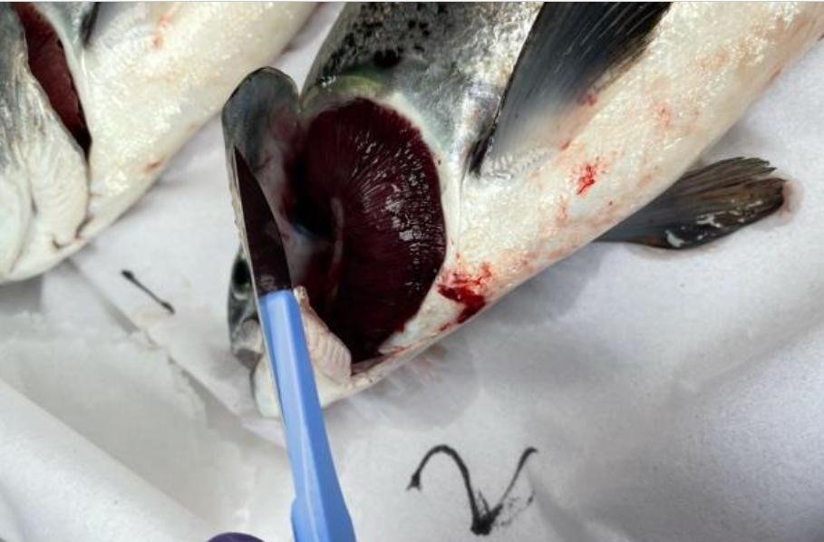 Greanem blog Aug 2022 #45 photos Greanem blog Aug 2022 #45 photos