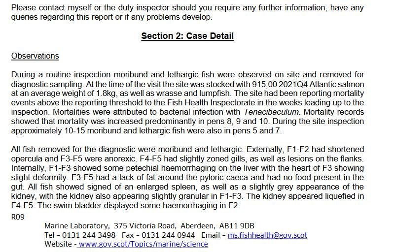 Linnhe blog Aug 2022 #12 Linnhe blog Aug 2022 #12