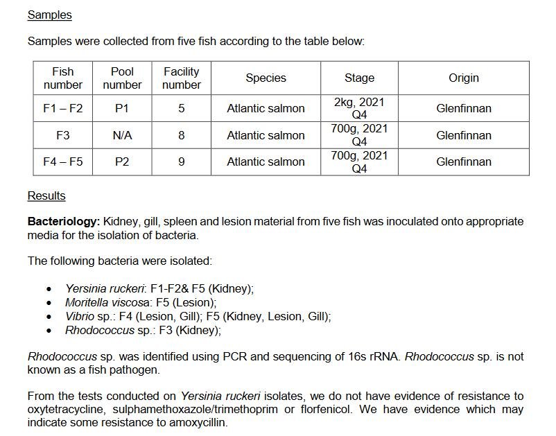 Linnhe blog Aug 2022 #13 Linnhe blog Aug 2022 #13
