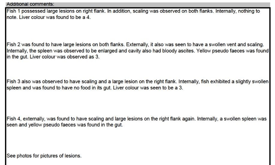 Ouseness FHI May 2022 #9