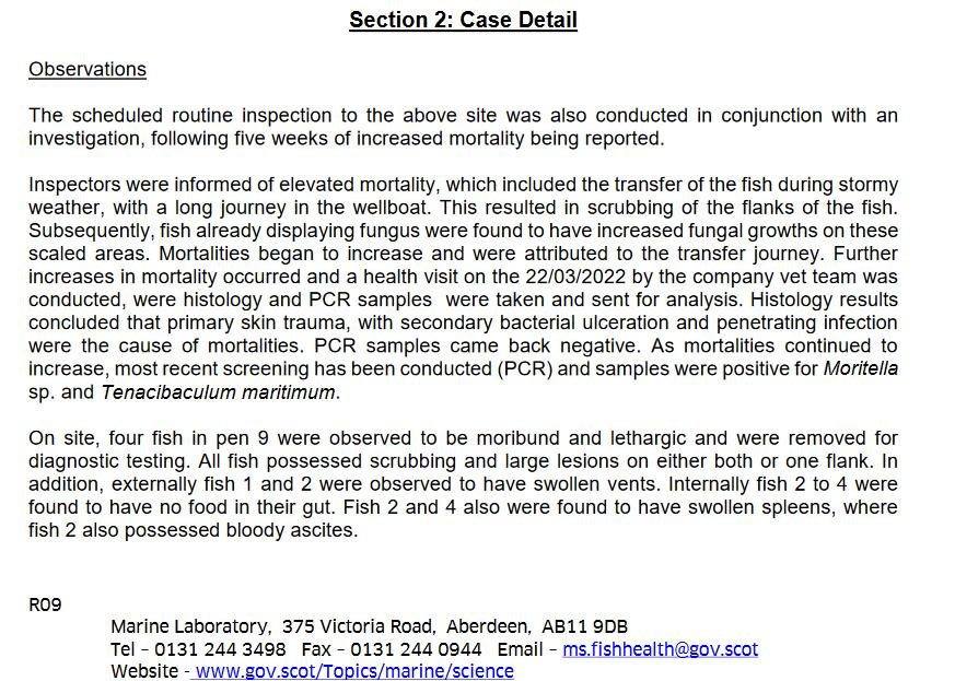 Ouseness FHI May 2022 #11