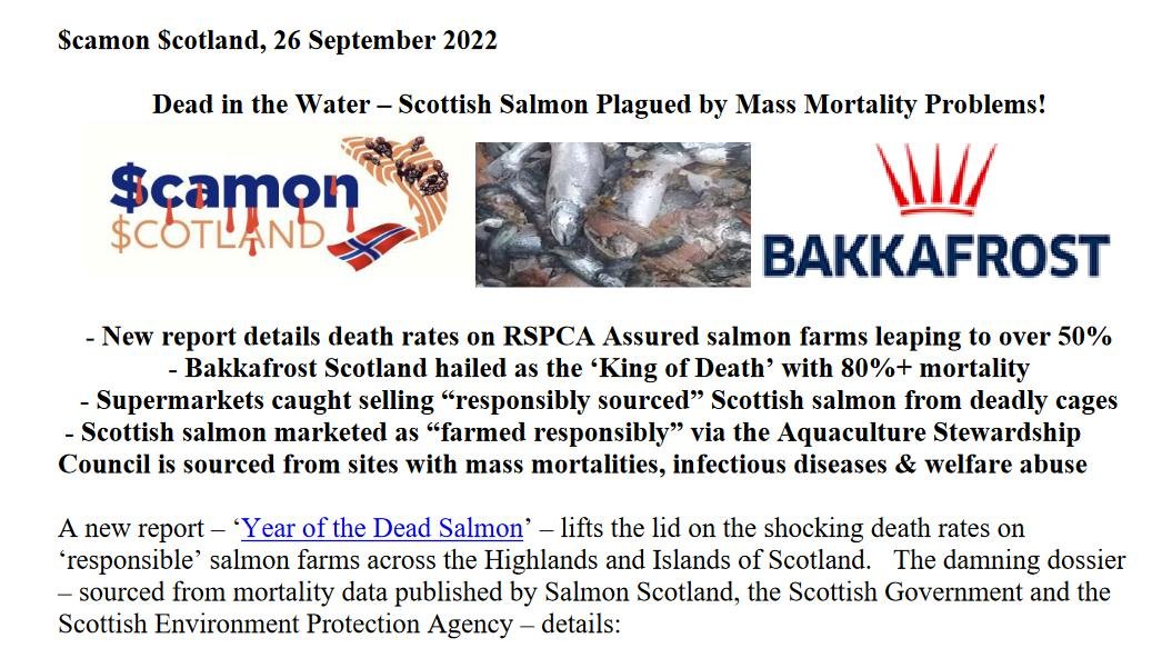 PR Year of the Dead Salmon 26 September 2022 #1
