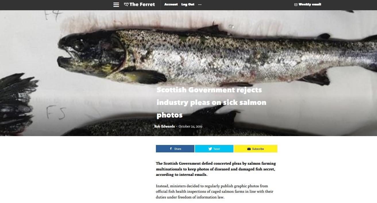 Blog Sept 2022 #2 Blog Sept 2022 #2