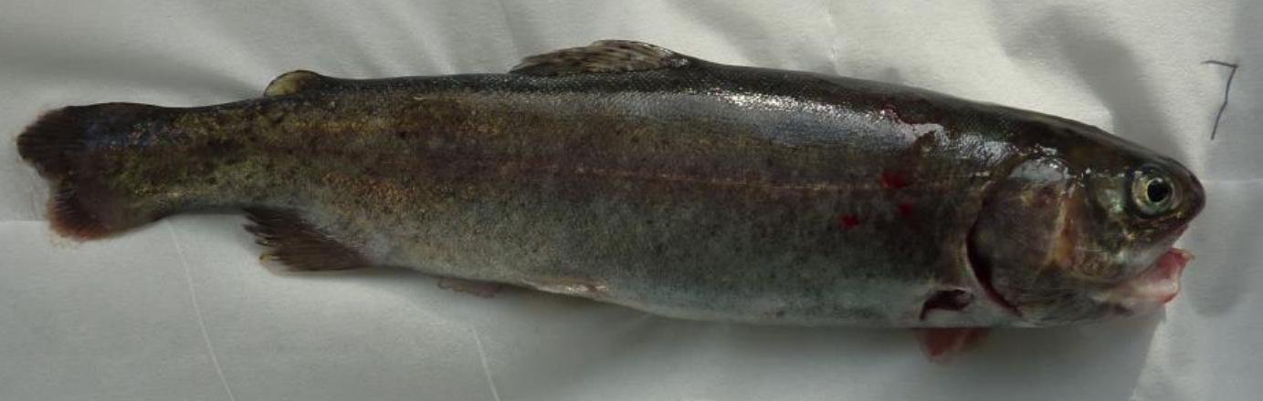 Blog Sept 2022 #4 Blog Sept 2022 #4