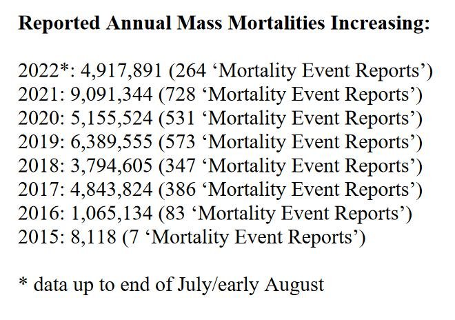 Mort blog Sept 2022 #26