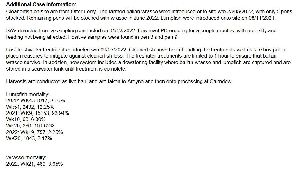 Soay FHI June 2022 #9 Ardcastle