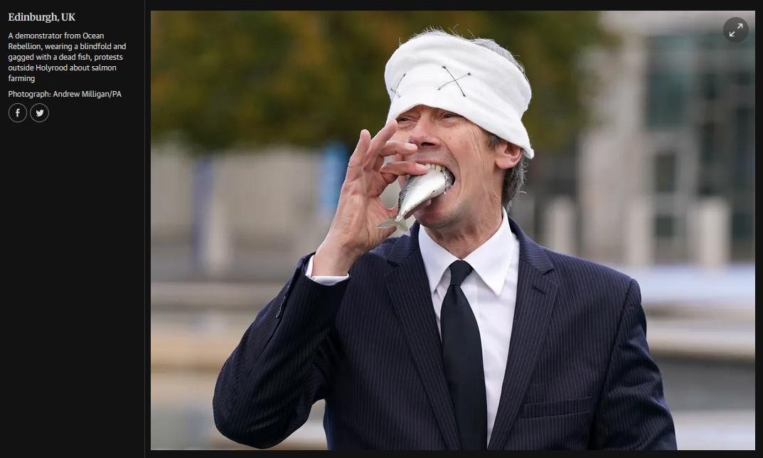 Ocean Rebellion protest Oct 2022 #1