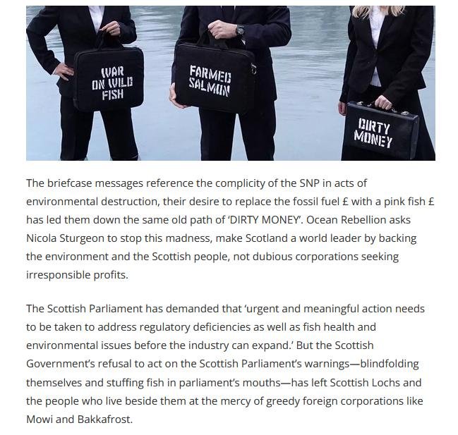 Ocean Rebellion protest Oct 2022 #9