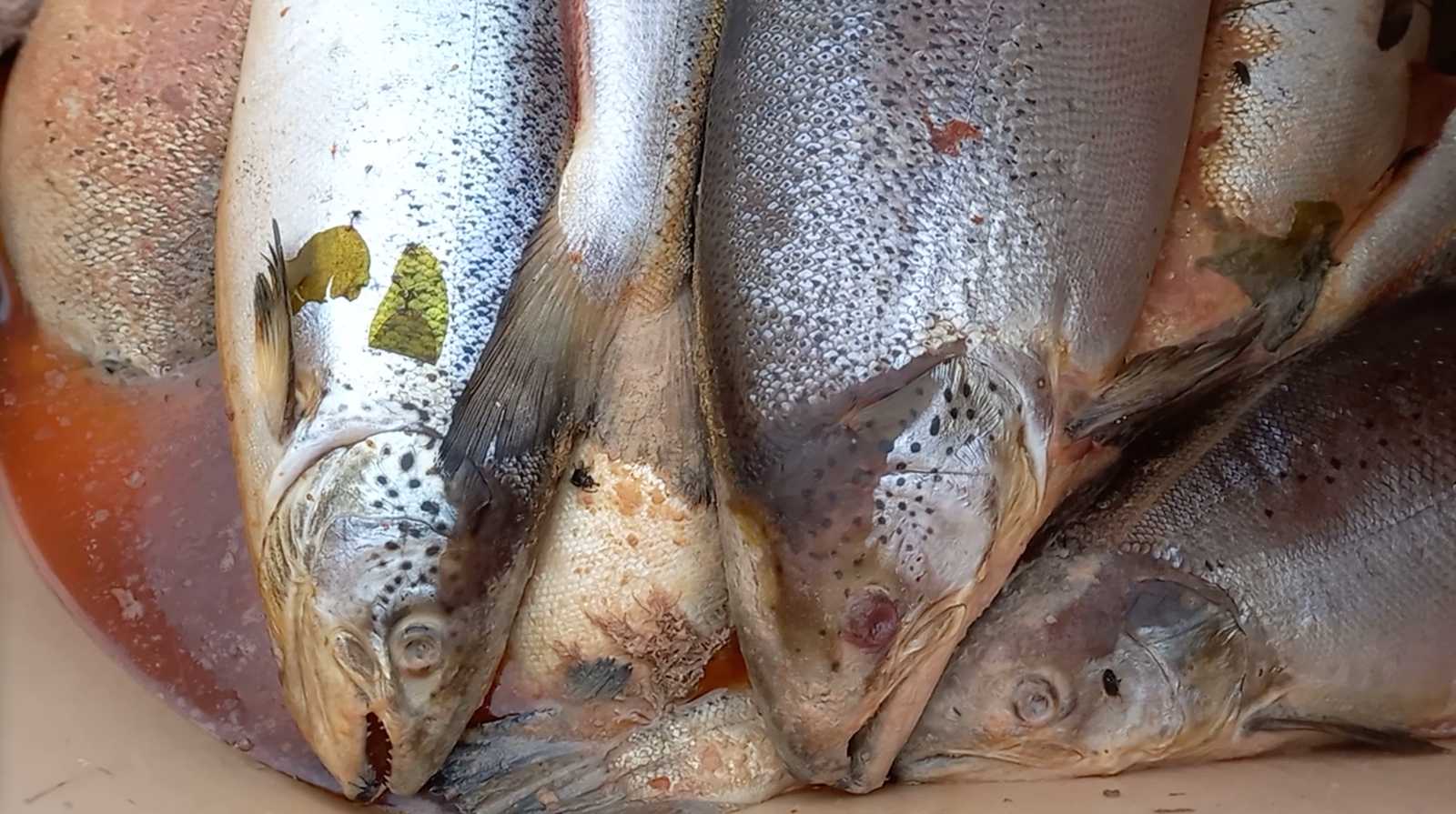 Screenshot 2022-07-10 at 23.19.50 Screenshot 2022-07-10 at 23.19.50