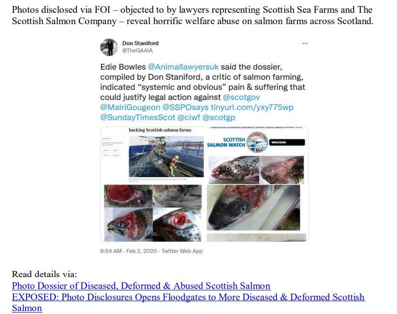 Media Backgrounder RSPCA Assured Scottish Salmon Exposed July 2022 #7
