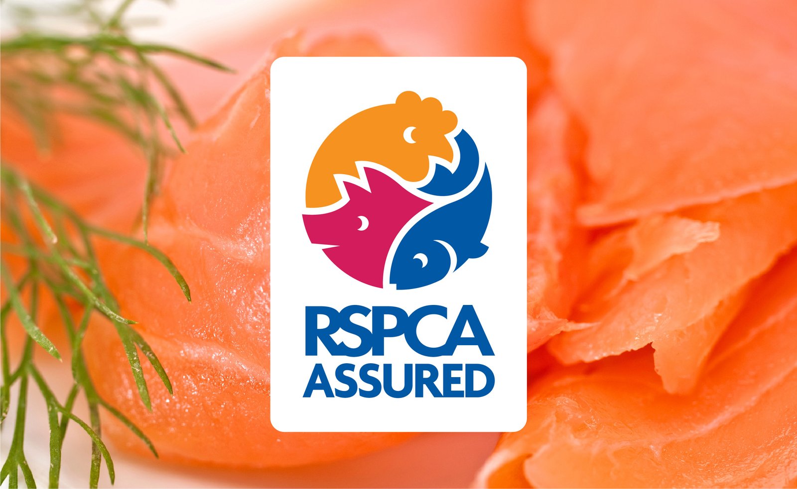 RSPCA assured salmon #3 RSPCA assured salmon #3