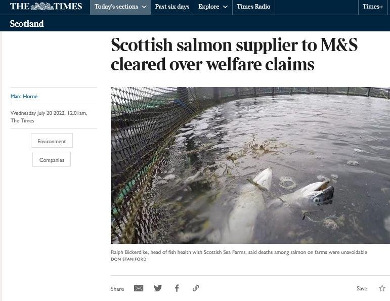 Times 20 July 2022 #1