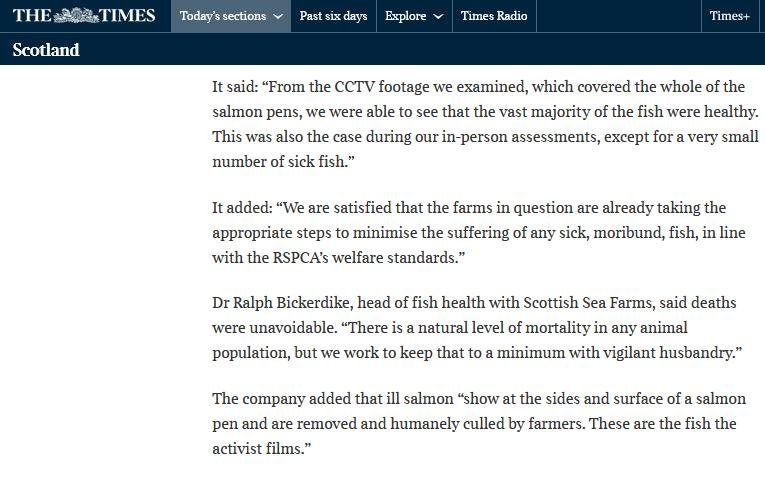 Times 20 July 2022 #3