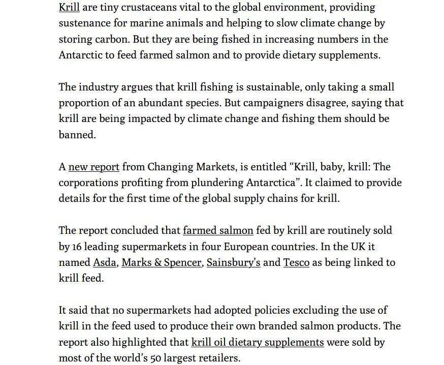 Ferret on krill 11 Aug 2022 #3