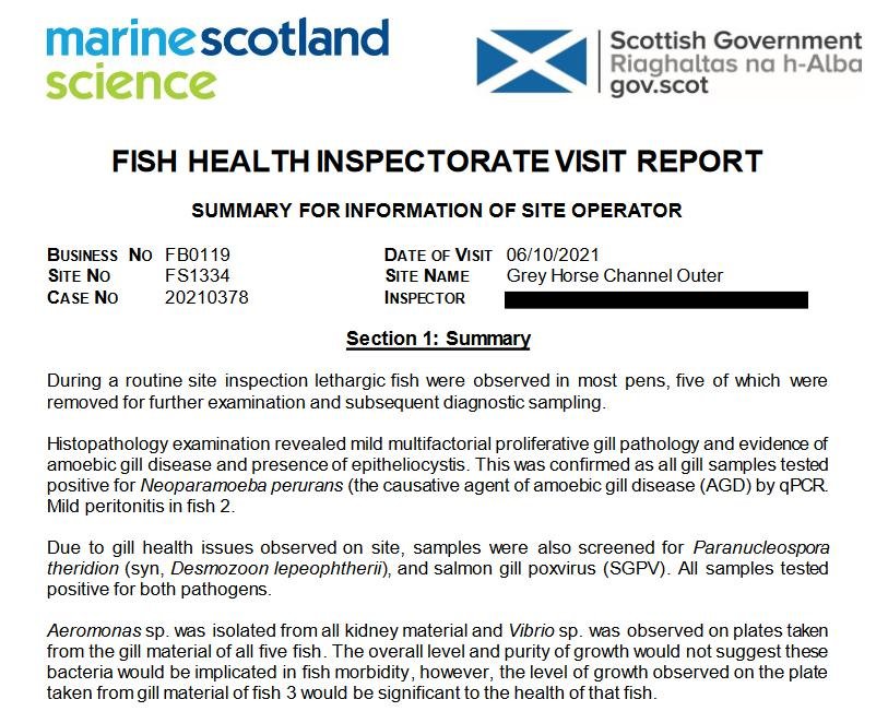 Greanem blog Aug 2022 #39