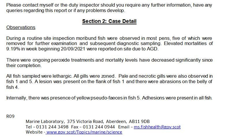 Greanem blog Aug 2022 #40