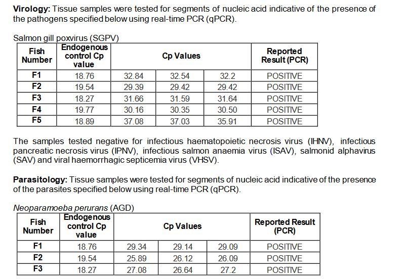 Greanem blog Aug 2022 #41