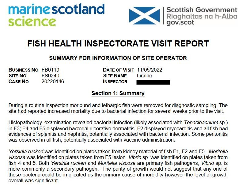 Linnhe blog Aug 2022 #11 Linnhe blog Aug 2022 #11