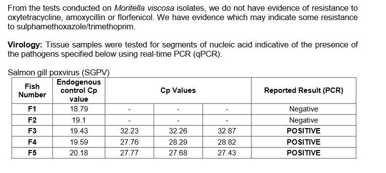Linnhe blog Aug 2022 #14 Linnhe blog Aug 2022 #14