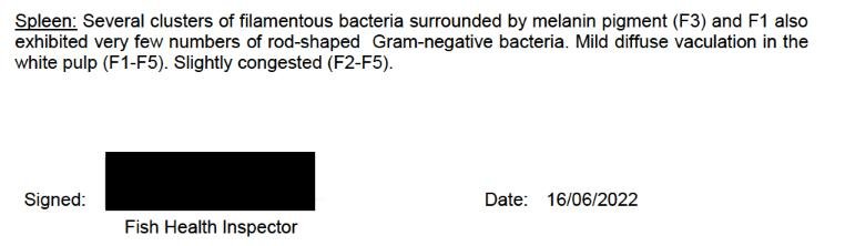 Linnhe blog Aug 2022 #17 Linnhe blog Aug 2022 #17