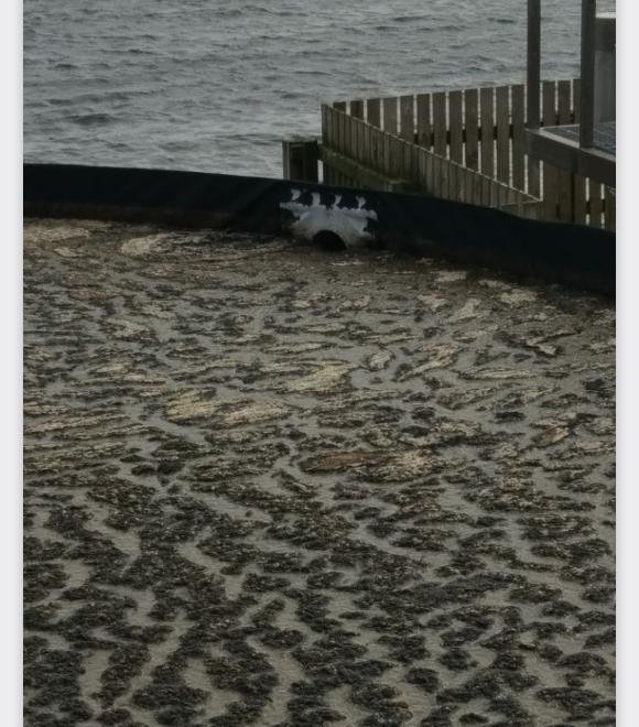 East Mocklett blog Aug 2022 #9