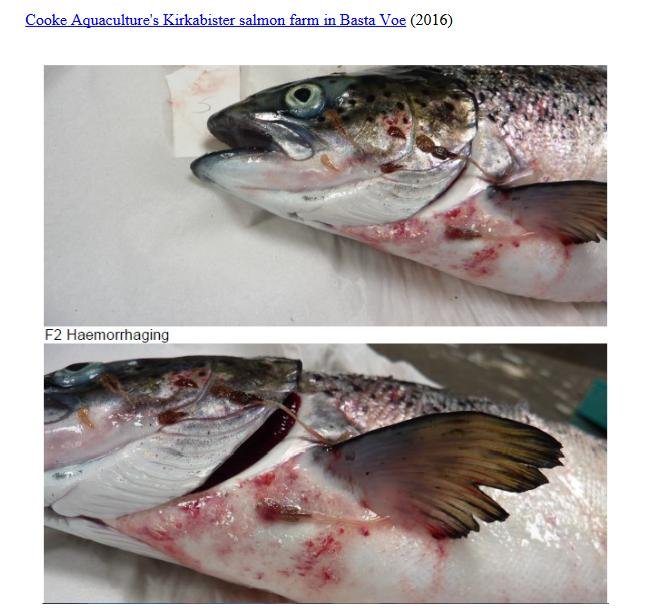 East Mocklett blog Aug 2022 #17