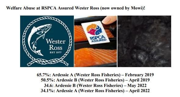 Media Backgrounder Year of the Dead Salmon September 2022 #11