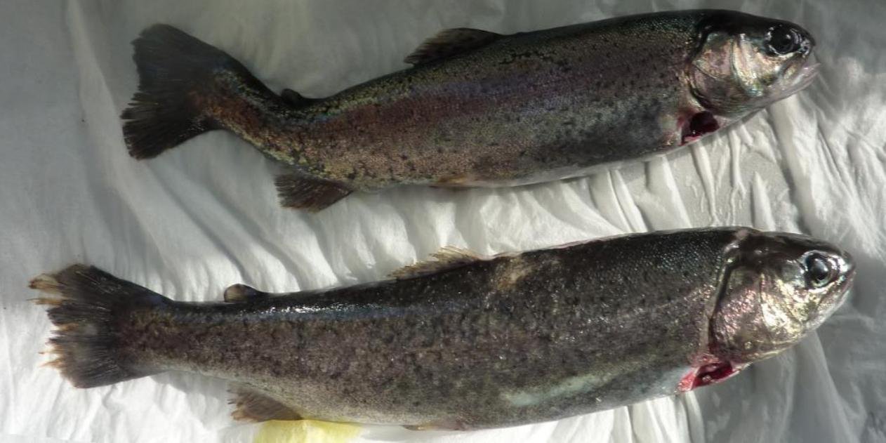 Blog Sept 2022 #3 Blog Sept 2022 #3