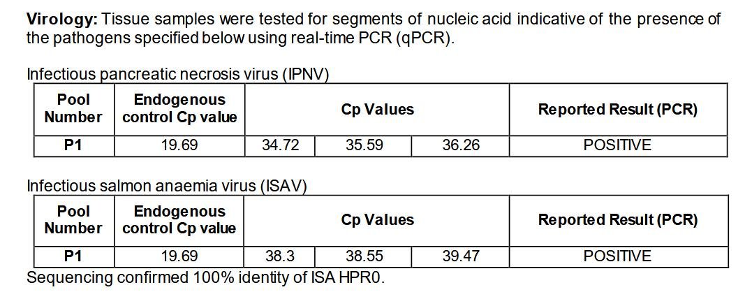 Blog Sept 2022 #12 Landcatch ISA Blog Sept 2022 #12 Landcatch ISA
