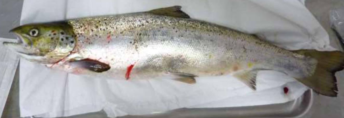 Blog Sept 2022 #13 Landcatch ISA Blog Sept 2022 #13 Landcatch ISA