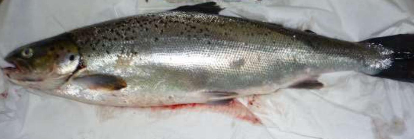 Blog Sept 2022 #16 Landcatch ISA Blog Sept 2022 #16 Landcatch ISA