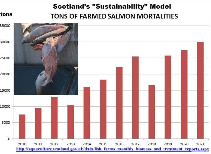 Mort graph 2010 to 2021