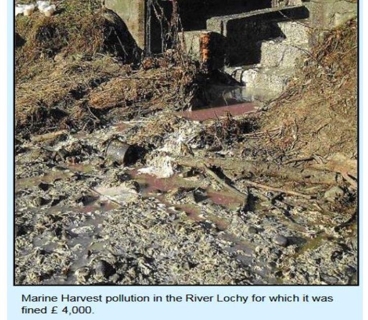 Bla Mhor blog Oct 2022 #5