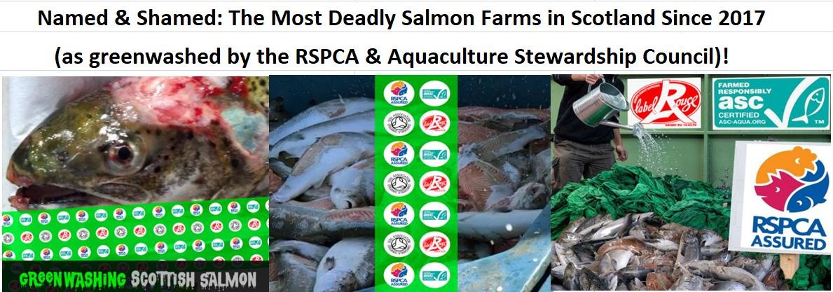Worst FHI Mortality Event Reports Since 2015 up to Sept 2022 header Worst FHI Mortality Event Reports Since 2015 up to Sept 2022 header