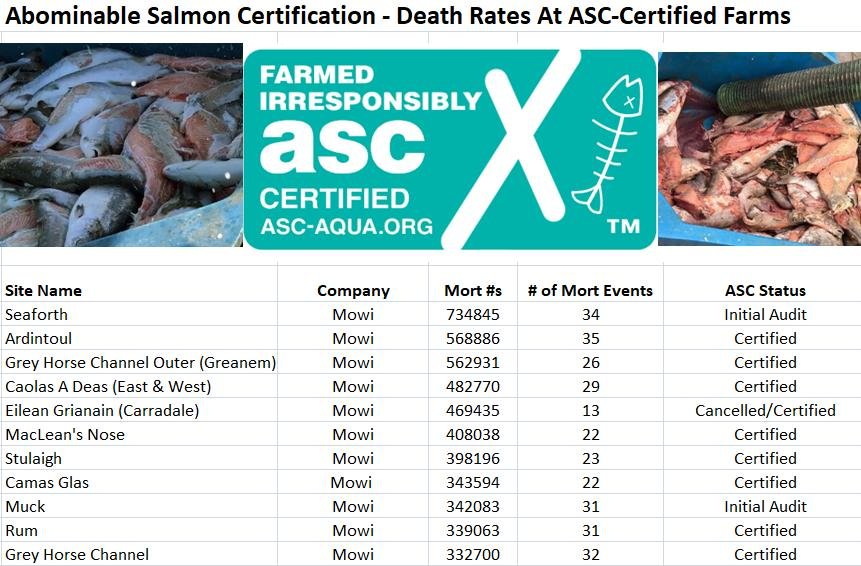Mort Blog Oct 2022 Death Rates
