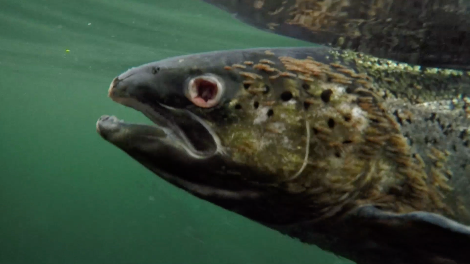 Screenshot 2022-07-10 at 22.20.43 Screenshot 2022-07-10 at 22.20.43