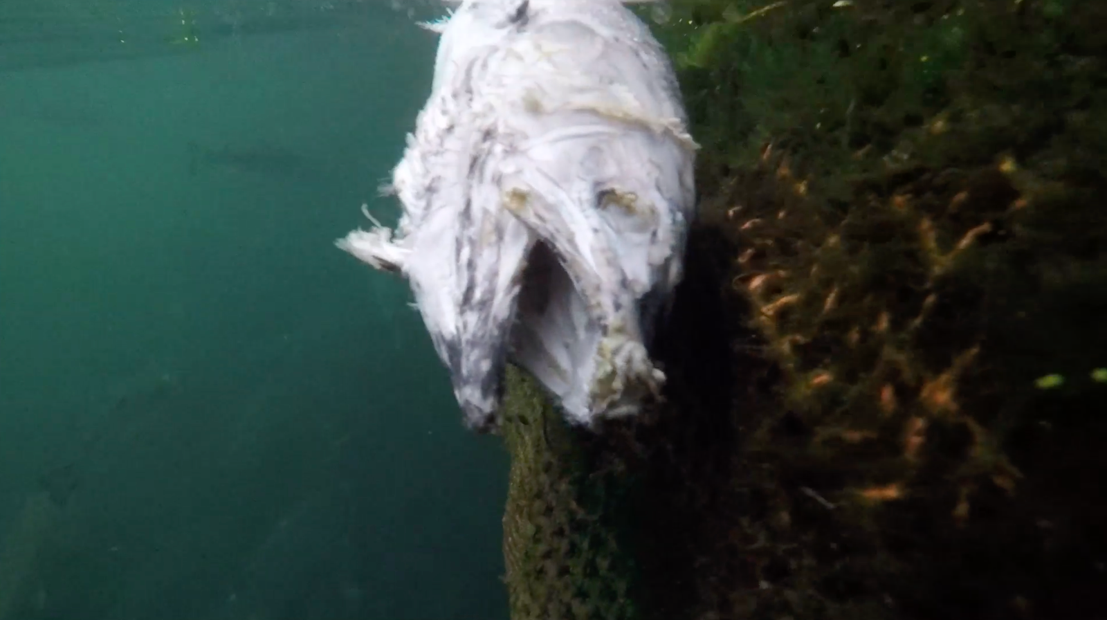 Screenshot 2022-07-10 at 22.13.20 Screenshot 2022-07-10 at 22.13.20