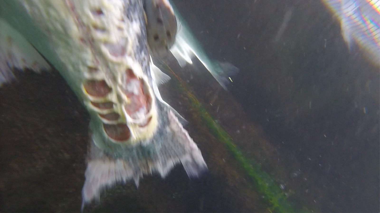 Screenshot 2022-07-10 at 23.14.02 Screenshot 2022-07-10 at 23.14.02