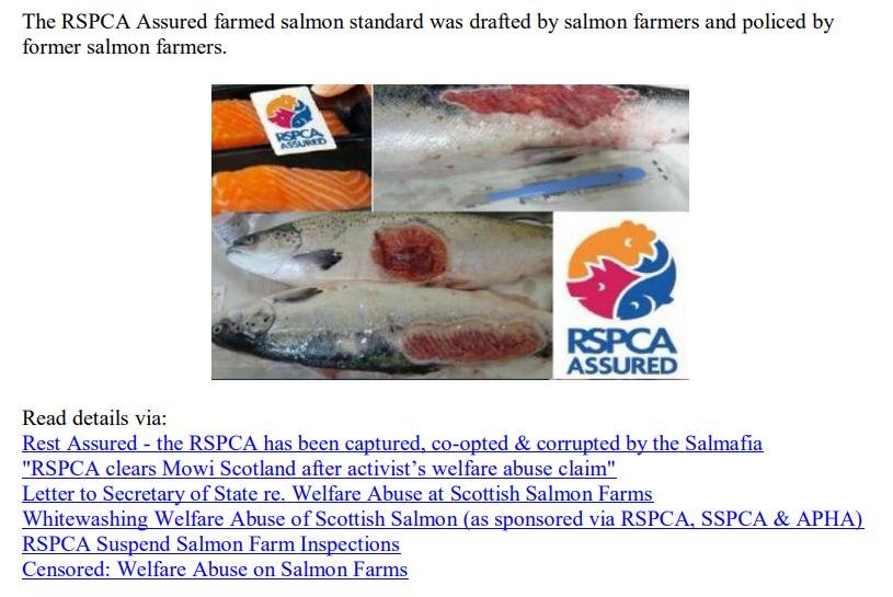 Media Backgrounder RSPCA Assured Scottish Salmon Exposed July 2022 #4