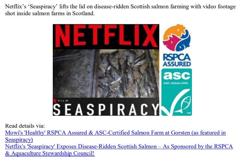 Media Backgrounder RSPCA Assured Scottish Salmon Exposed July 2022 #6
