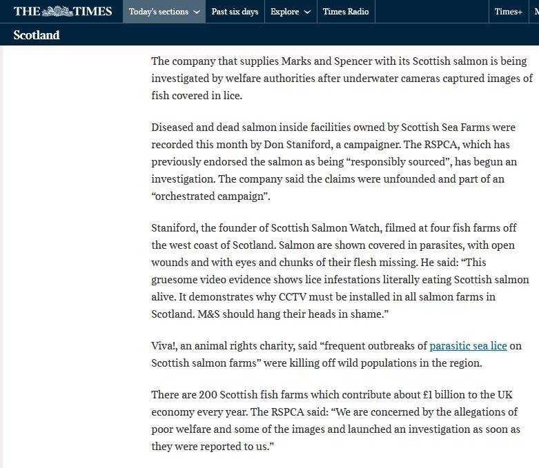 Times 16 July 2022 #2 Times 16 July 2022 #2