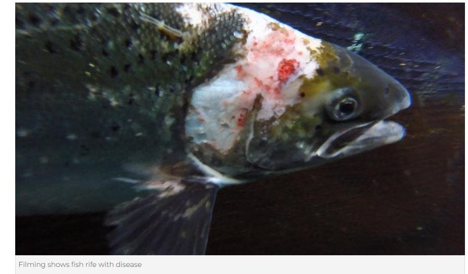 Smarter Communities 1 August 2022 #3