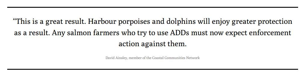 Ferret 10 August 2022 #2