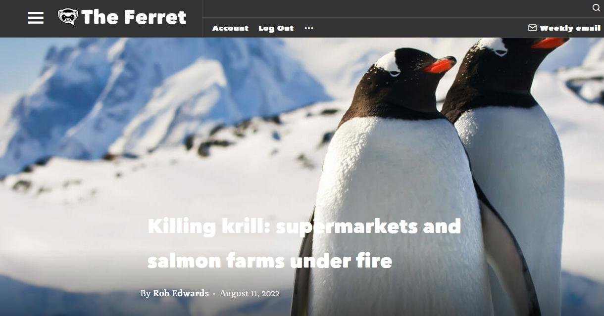 Ferret on krill 11 Aug 2022 #1