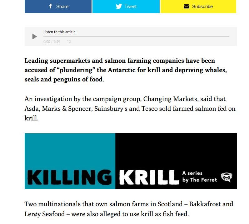 Ferret on krill 11 Aug 2022 #2