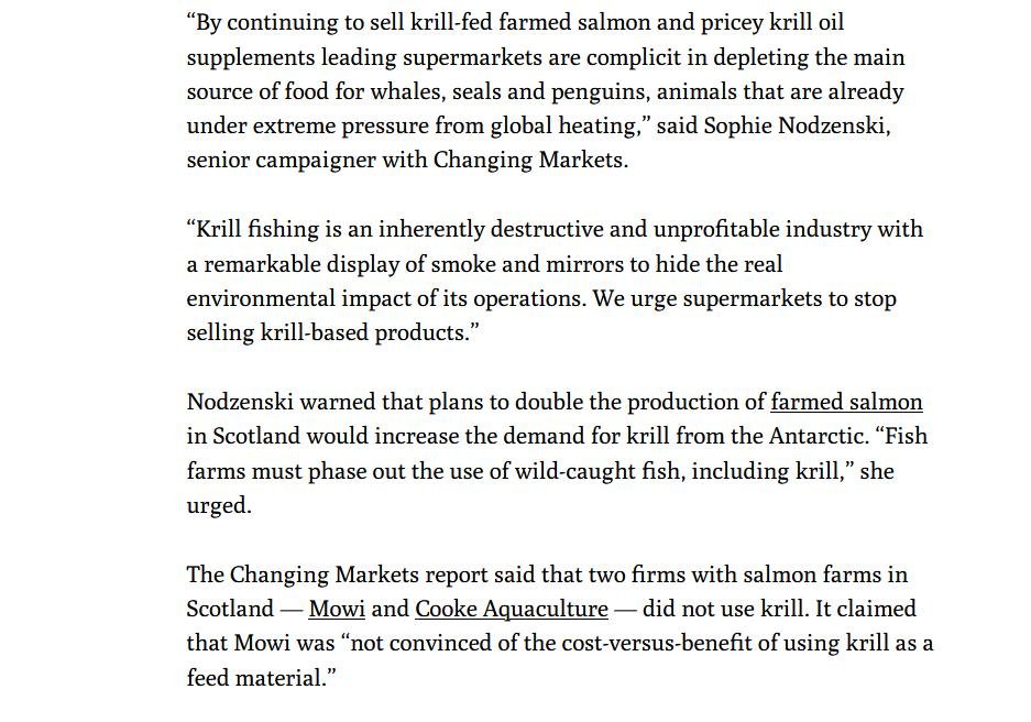 Ferret on krill 11 Aug 2022 #5